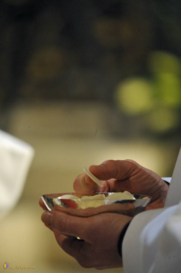 Nom de l'image : D30050434_1_(c)Norbert-JUNG — Description :